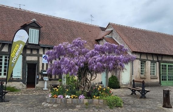 CSL- BIT-20250412FlorenceRabouin-OTI